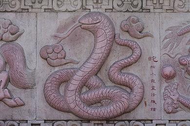 前任天堂北美总裁：盲猜一个《F-Zero》会回归